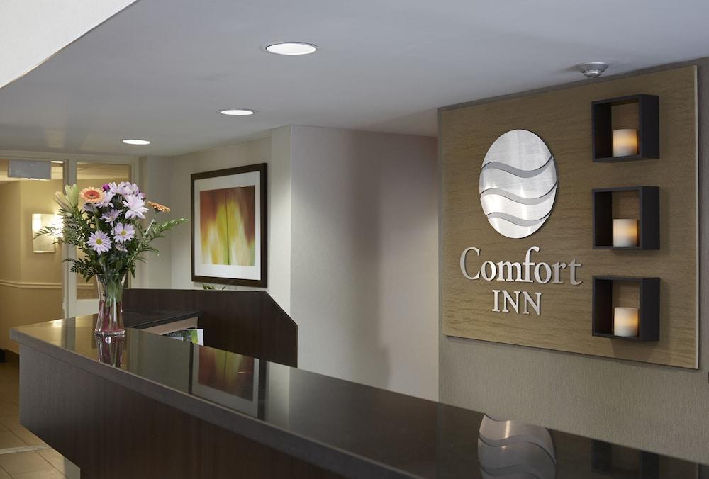 Comfort Inn Dryden Exterior foto